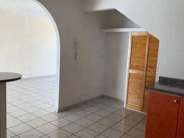 AV, PALMA COCOTERA 2020 PALMARES SANTIAGO DE QUERETARO