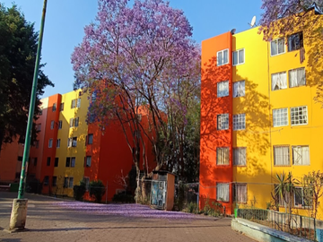 DEPARTAMENTO EN VENTA CONJUNTO HAB. EL ARBOLILLO, GUSTAVO A MADERO, CDMX.