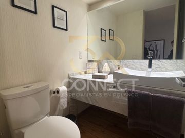 Departamento Renta en Polanco 3R/2.5B/2E - Amueblado - Balcón - 270m2