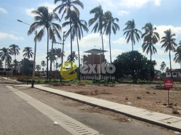 Terreno en Venta | Urb. Las Palmeras – Castilla, Piura | 137 m² | Excelente Ubicación