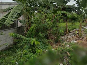 Tanah Wiyung II
