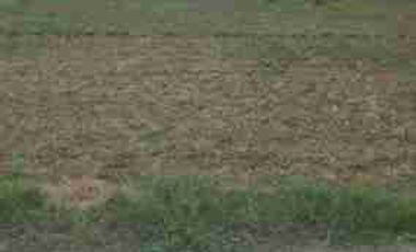 VACANT LOT AT SAN RAFAEL, PALAWAN- 1.5 HECTARES,NEXT TO HIGHWAY,FLEXIBLE TERM, CLEAN TITLE- FOR SALE