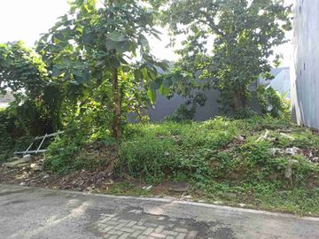 Tanah dekat Undip cocok untuk kos