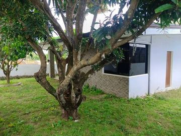 3 Bedrooms House for Sale in Valencia