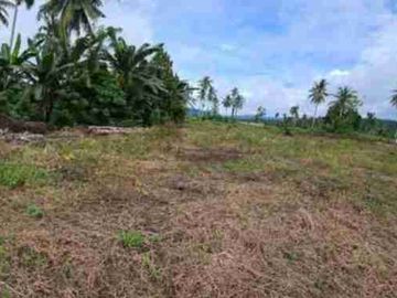 DIJUAL CEPAT TANAH CANTIK DAN MENARIK DAERAH MAPANGET, HARGA SANGAT MURAH