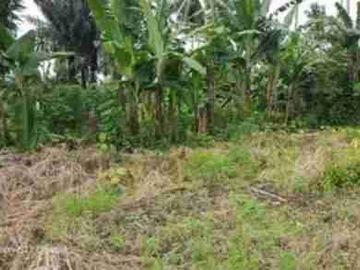 DIJUAL CEPAT TANAH CANTIK DAN MENARIK DAERAH MAPANGET, HARGA SANGAT MURAH