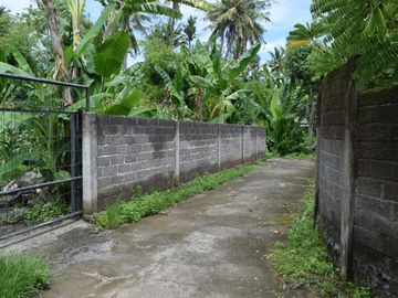 Dijual Tanah di Buleleng Dekat Pantai Lovina