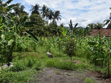 Dijual Tanah di Buleleng Dekat Pantai Lovina