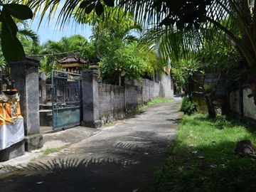Dijual Tanah di Buleleng Dekat Pantai Lovina
