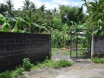Dijual Tanah di Buleleng Dekat Pantai Lovina