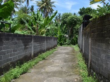 Dijual Tanah di Buleleng Dekat Pantai Lovina