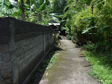Dijual Tanah di Buleleng Dekat Pantai Lovina