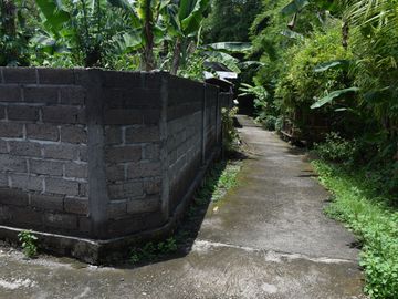 Dijual Tanah di Buleleng Dekat Pantai Lovina