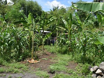 Dijual Tanah di Buleleng Dekat Pantai Lovina