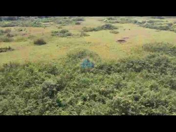 Jual Tanah di Kawasan Industri Millennium Cikupa - Tigaraksa, Tangerang.