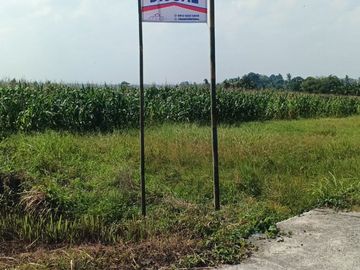 TANAH KAVLING DI BERABAN - TABANAN