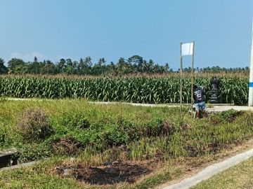 TANAH KAVLING DI BERABAN - TABANAN