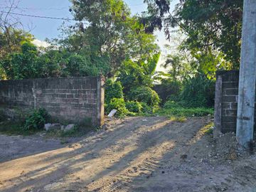 tanah view sawah padonan