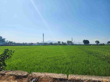 Dijual Tanah Sawah