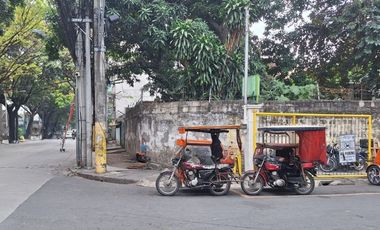 For Sale Residential Lot in Makati
