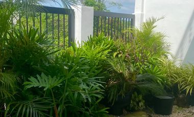 Pre-Owned House and Lot For Sale in Bukal Mendez Cavite-MC