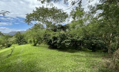 FOR SALE - Agricultural or Residential Lot in Tagaytay, Cavite