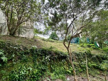 Vacant Lot for Sale in Ayala Westgrove Heights