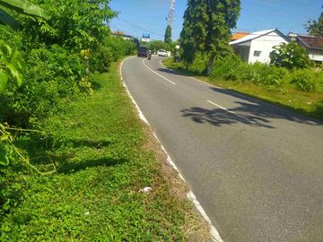 TANAH STARTEGIS 14 ARE PINGGIR JALAN RAYA NEGARA PENGAMBENGAN KOTA PELABUHAN INDUSTRI