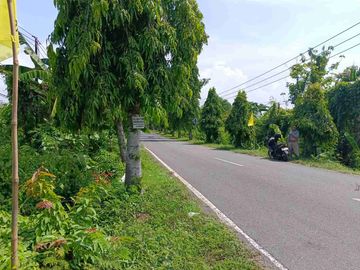 TANAH STARTEGIS 14 ARE PINGGIR JALAN RAYA NEGARA PENGAMBENGAN KOTA PELABUHAN INDUSTRI