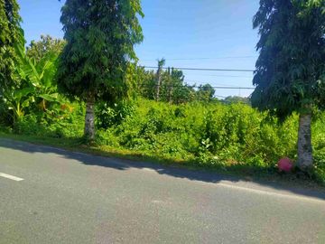 TANAH STARTEGIS 14 ARE PINGGIR JALAN RAYA NEGARA PENGAMBENGAN KOTA PELABUHAN INDUSTRI