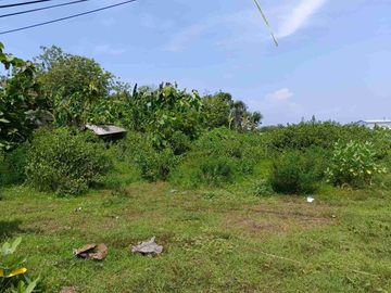 TANAH STARTEGIS 14 ARE PINGGIR JALAN RAYA NEGARA PENGAMBENGAN KOTA PELABUHAN INDUSTRI