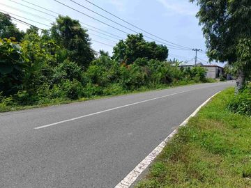 TANAH STARTEGIS 14 ARE PINGGIR JALAN RAYA NEGARA PENGAMBENGAN KOTA PELABUHAN INDUSTRI