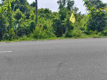 TANAH STARTEGIS 14 ARE PINGGIR JALAN RAYA NEGARA PENGAMBENGAN KOTA PELABUHAN INDUSTRI