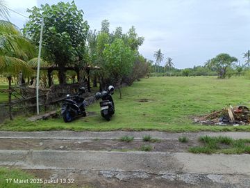 TANAH KOSONG DI PANTAI SUMBERKIMA SINGARAJA COCOK UNTUK INVESTASI