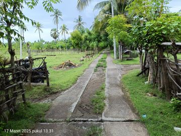 TANAH KOSONG DI PANTAI SUMBERKIMA SINGARAJA COCOK UNTUK INVESTASI