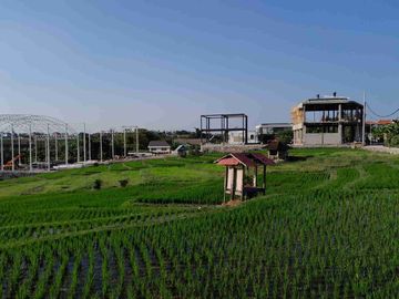 Dijual Tanah full view sawah super langka siap Bangun Di jalan padonan pegending Badung Bali