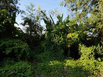 Dijual Tanah full view sawah super langka siap Bangun Di jalan padonan pegending Badung Bali