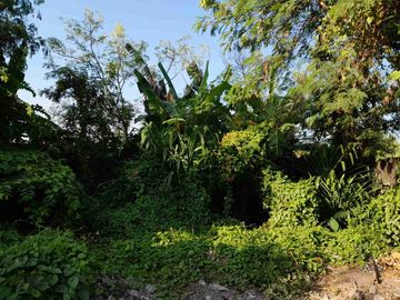 Dijual Tanah full view sawah super langka siap Bangun Di jalan padonan pegending Badung Bali