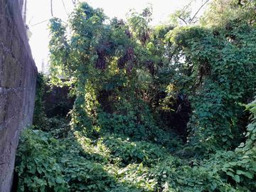 Dijual Tanah full view sawah super langka siap Bangun Di jalan padonan pegending Badung Bali