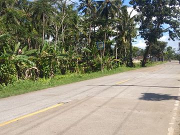 Dijual tanah kebun Kelapa pinggir Jl. Raya Tol Panimbang, 13.970 m2, SHM, 170rb/m2