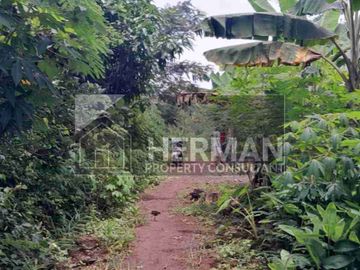 Tanah Tembalang Bulusan Undip