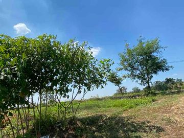 DIJUAL KAVLING SIAP BANGUN VIEW PEGUNUNGAN ALAM DI PACET MOJOKERTO