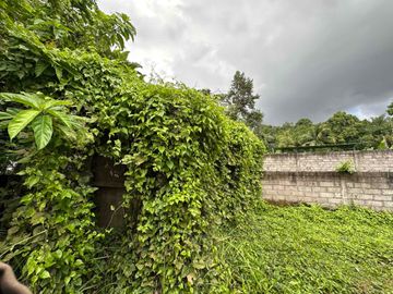 Tanah jungle view dekat RS. Sanjiwani dan Tibumana Waterfall