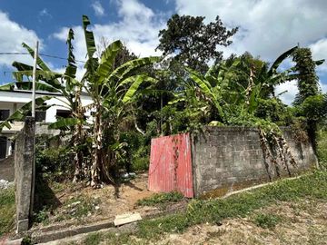 SALE Tanah Hook View Sawah SHM Munggu 219 m²