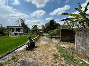 SALE Tanah Hook View Sawah SHM Munggu 219 m²