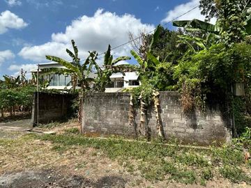 SALE Tanah Hook View Sawah SHM Munggu 219 m²