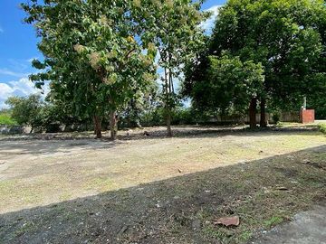 🌟🌳 Land with Warehouse for Sale | San Kamphaeng, Chiang Mai | Below Appraised Value | Yellow Zone | Expansion Opportunity