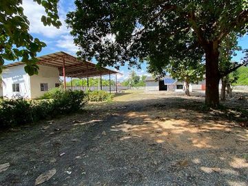 🌟🌳 Land with Warehouse for Sale | San Kamphaeng, Chiang Mai | Below Appraised Value | Yellow Zone | Expansion Opportunity