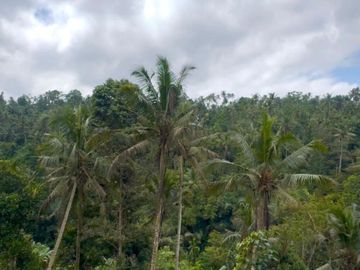 DIJUAL TANAH PREMIUM JUNGLE VIEW DI KELIKI, TEGALLALANG UBUD BALI