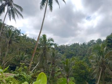 DIJUAL TANAH PREMIUM JUNGLE VIEW DI KELIKI, TEGALLALANG UBUD BALI